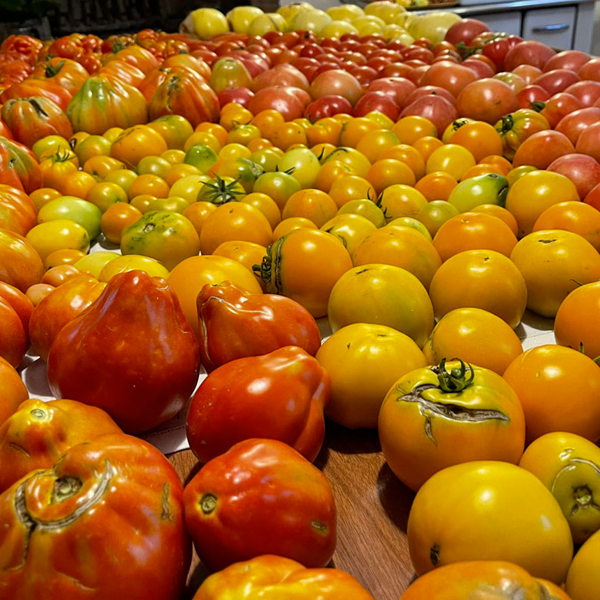 Pomodoro