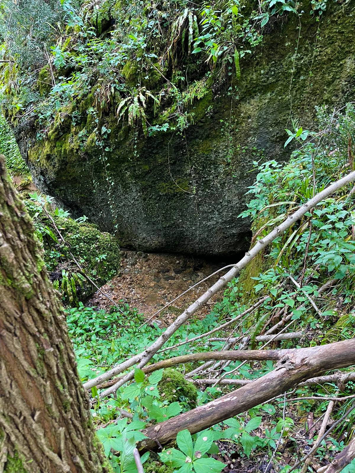 rocce