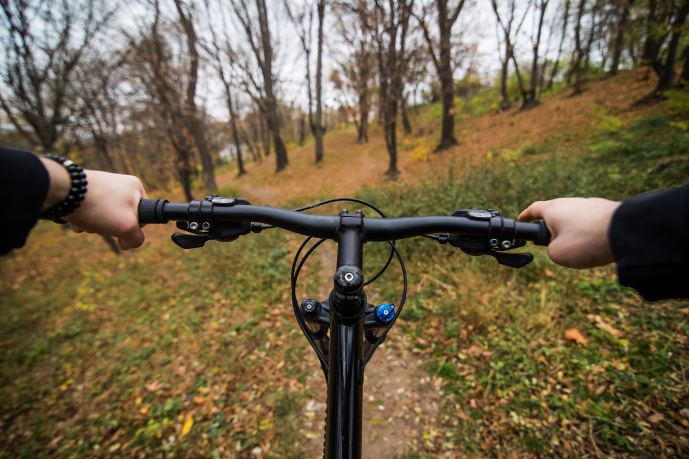 bicicletta